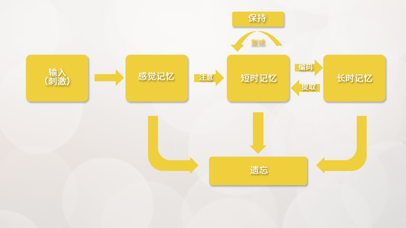 E-Prime實驗編程軟件在學習與記憶研究領域的應用